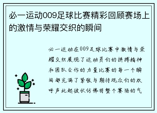 必一运动009足球比赛精彩回顾赛场上的激情与荣耀交织的瞬间